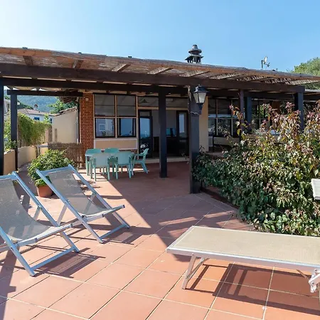 Delfino 프로키오