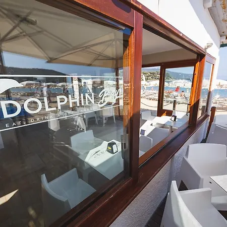 Delfino 프로키오