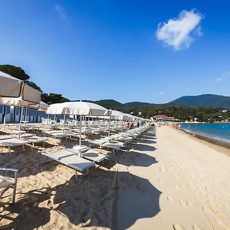 Delfino Procchio (Isola d'Elba)