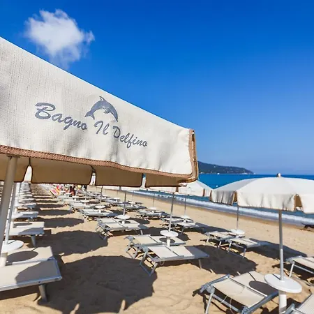 Delfino 프로키오