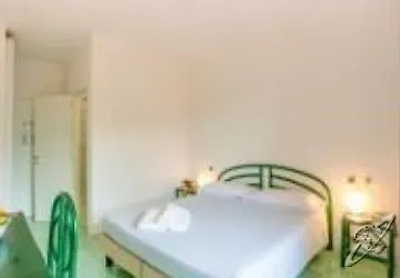 Delfino 프로키오