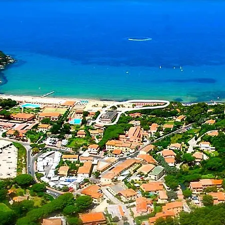 Delfino Procchio (Isola d'Elba)
