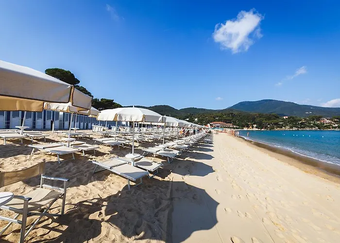 Delfino Procchio (Isola d'Elba)